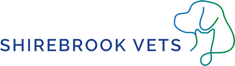 Visit Shirebrook Vets home page