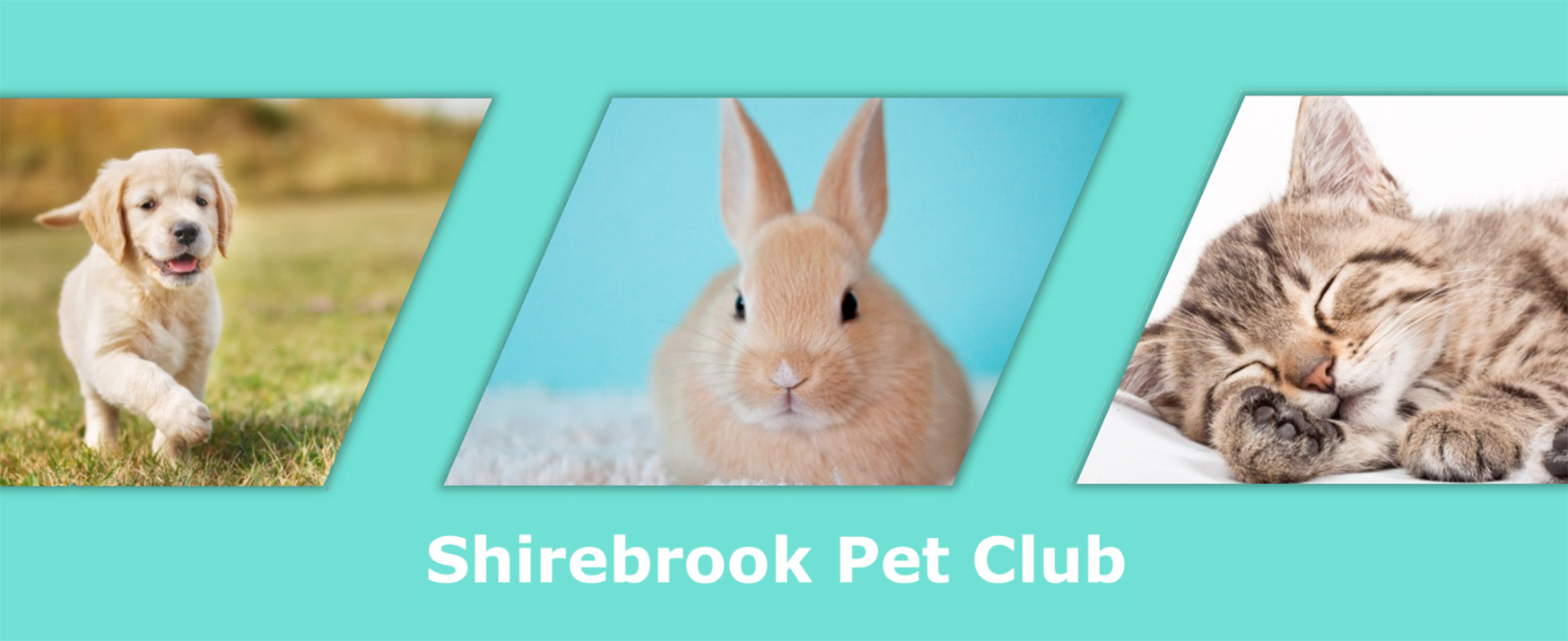 Shirebrook Pet Club